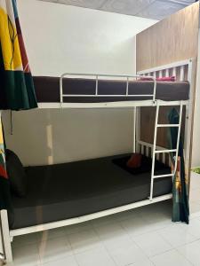 Palanda nebo palandy na pokoji v ubytování Tiki Tribe Bar & Hostel