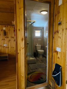 a bathroom with a toilet and a glass door at Cabana doi mesteceni in Drumu Carului