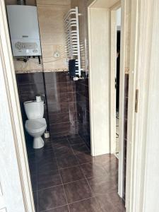 a bathroom with a toilet and a walk in shower at Libellula in Drawsko Pomorskie