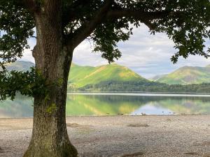 a tree in front of a lake with mountains at Goodwin House in Keswick