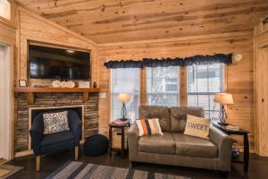 a living room with a couch and a fireplace at Lakeview 2BR Tiny Home near Trails and Bocce in Flat Rock