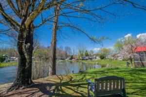 a park with a bench next to a river at Lakeview 2BR Tiny Home near Trails and Bocce in Flat Rock