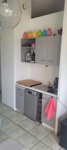 Appartement vue mer的厨房或小厨房