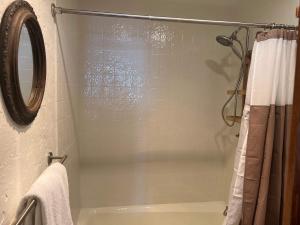 a bathroom with a shower with a glass door at Aspen Chalet 976 in Aspen