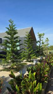 a building with two pine trees in a garden at เลอร์กบินทร์ in Kabin Buri