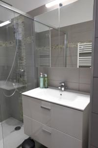 une salle de bain avec un lavabo et une douche avec un miroir dans l'établissement Très bel appartement avec piscine en bord de mer, à Ajaccio