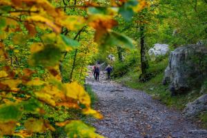 Fotografie z fotogalerie ubytování Apartments Adriana v destinaci Starigrad-Paklenica