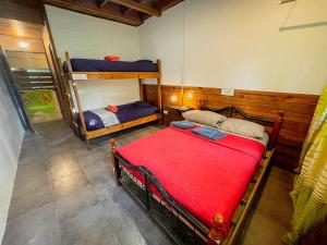 a room with two bunk beds and a red blanket at Calipso Bocas Town - Cozy Caribbean House in the Center in Bocas Town