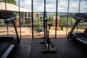 Γυμναστήριο ή/και όργανα γυμναστικής στο Hotel Fazenda São Silvano