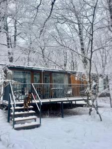 Nina's winery forest house in Kiketi om vinteren