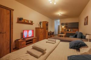 TV a/nebo společenská místnost v ubytování Apartmánový dom Fatrapark 1 s Wellness - Hlavná recepcia