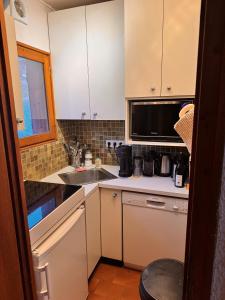 una cucina con lavello e microonde di Triplex Exceptionnel à La Clusaz a La Clusaz