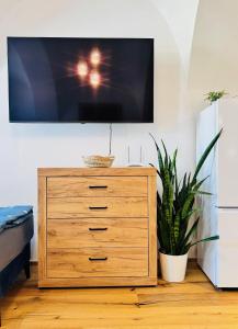 TV a/nebo společenská místnost v ubytování Apartmán CORA