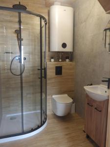 a bathroom with a shower and a toilet and a sink at Domki na Stodoliskach in Kasinka Mala