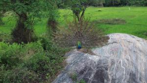 Paesaggio naturale nelle vicinanze del bed & breakfast