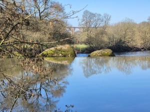 Příroda nedaleko penzionu