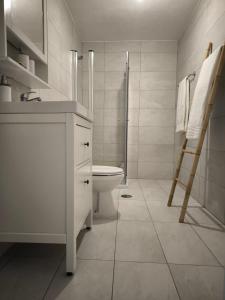 a bathroom with a toilet and a shower and a ladder at Casa do Pedro, Quinta Vale de Vila in São João da Pesqueira
