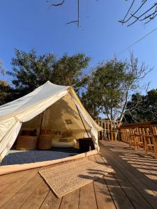 Fotografie z fotogalerie ubytování Surf lodge v destinaci Herzliya B