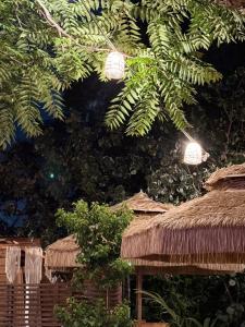 Fotografie z fotogalerie ubytování Surf lodge v destinaci Herzliya B