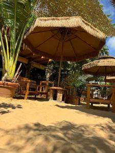 Fotografie z fotogalerie ubytování Surf lodge v destinaci Herzliya B