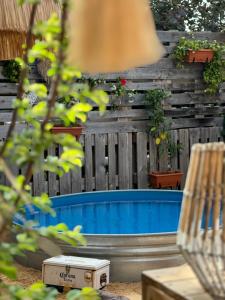 Bazén v ubytování Surf lodge nebo v jeho okolí