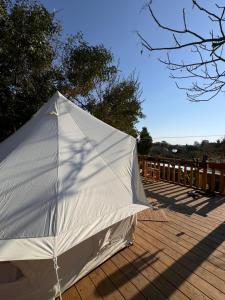 Fotografie z fotogalerie ubytování Surf lodge v destinaci Herzliya B