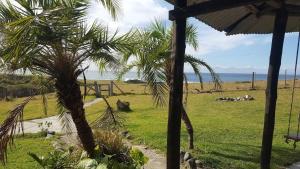 une vue d'un champ avec des palmiers et l'océan dans l'établissement Beautiful rustic sea cottage, 2km Kob Inn, à Sandile