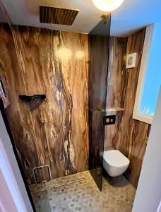 a bathroom with a shower and a toilet at New Forest Fordingbridge - Art Deco Unique Apartment in Fordingbridge +5 photos