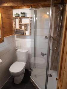 a bathroom with a toilet and a glass shower at Familienfreundliches Ferienhaus am Grinderwald nah Steinhuder Meer in Neustadt am Rübenberge +13 photos