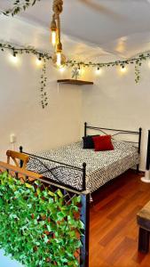 ein Schlafzimmer mit einem Bett und einer grünen Pflanze in der Unterkunft Alojamiento en el Centro Histórico in Oaxaca de Juárez