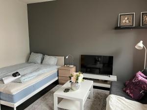 a bedroom with a bed and a tv and a couch at Kaarlelankatu Studio in Kokkola