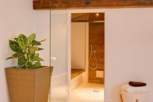 a bathroom with a shower and a potted plant at Alex Lodge Private Luxury Apartments in Zermatt