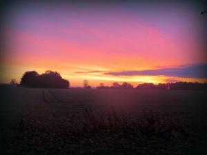a field with a sunset in the background at Ferienhaus Uns Lütt Hüsung in Glambeck +13 photos