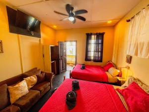 a living room with a couch and a bed at Calipso Bocas Town - Cozy Caribbean House in the Center in Bocas Town