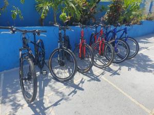 a row of bikes parked next to a blue wall at Izzy Room - Ferdie's Place in Port Antonio