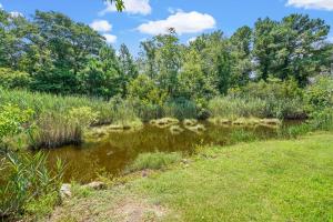 a pond in a field with grass and trees at Lazy Days - Pet friendly with screened gazebo! in Deep Hole