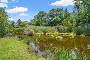 a pond in a park with grass and trees at Lazy Days - Pet friendly with screened gazebo! in Deep Hole