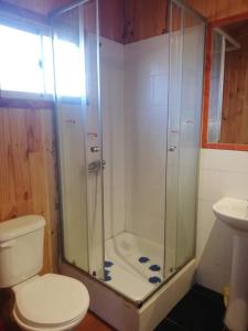 a bathroom with a shower with a toilet and a sink at cabaña de 1 piso in Coñaripe