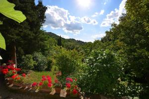 a garden filled with lots of flowers and trees at Monolocale in Radicondoli