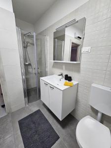 a bathroom with a sink and a shower and a toilet at LaNiMa LUX in Žminj +11 photos