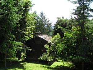 una casa en medio de un bosque de árboles en Mazot de l' Arche de Noé, en Verbier