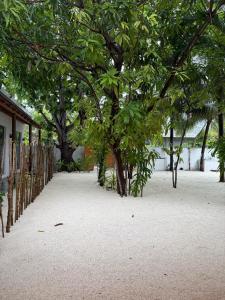 Zahrada ubytování Navaya Dhiffushi
