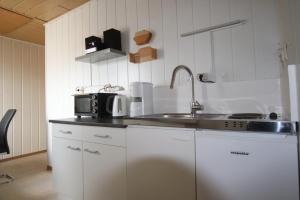 eine Küche mit Spüle und Mikrowelle in der Unterkunft SEA YOU- Ruhige Wohnung mit Terrasse nur 5 Minuten zur Müritz in Marienfelde