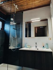 a bathroom with a sink and a shower with a mirror at Le havre du lac in Vielsalm