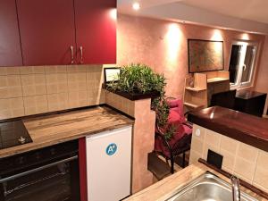 Kuchyň nebo kuchyňský kout v ubytování Belgrade Corner Apartment + 7 fotografií