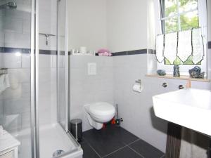 a bathroom with a toilet and a sink and a shower at Ferienhaus Mein Ankerplatz, Zirchow in Zirchow +8 photos