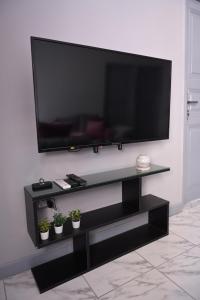 a flat screen tv on a wall with potted plants at Belle Helen - Bright Independent Apartment in Cairo