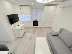 Kuchyň nebo kuchyňský kout v ubytování Krásny byt - apartmán v Novom meste