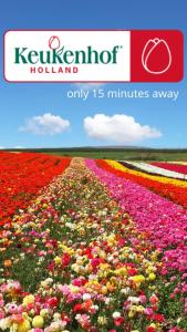 a field of flowers with a kerkhofeland sign in the background at Souterrain aan zee in Noordwijk