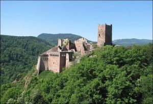 un antiguo castillo en la cima de una colina en Gite Les Hirondelles 6 pers Ribeauvillé, en Ribeauvillé